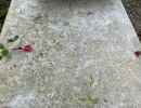 pere lachaise 2021