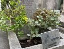 pere lachaise 2021
