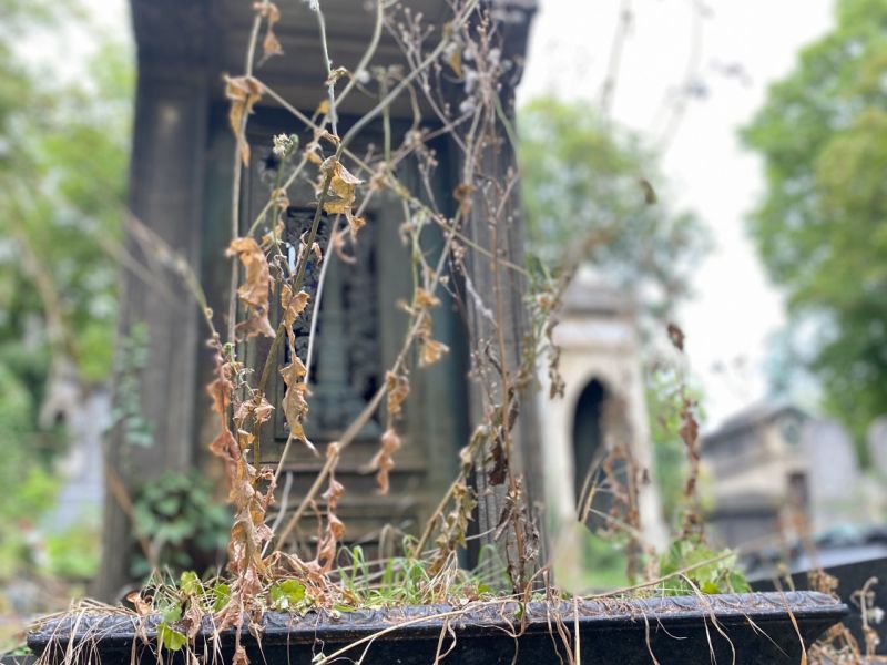 pere lachaise 2021