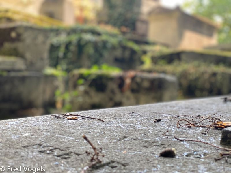 pere lachaise 2021