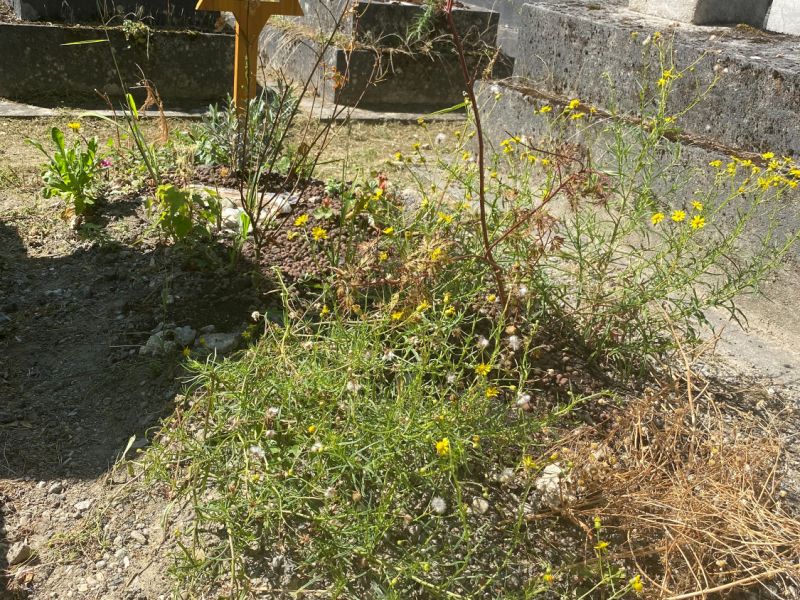 pere lachaise 2021