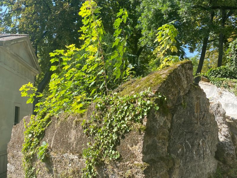 pere lachaise 2021