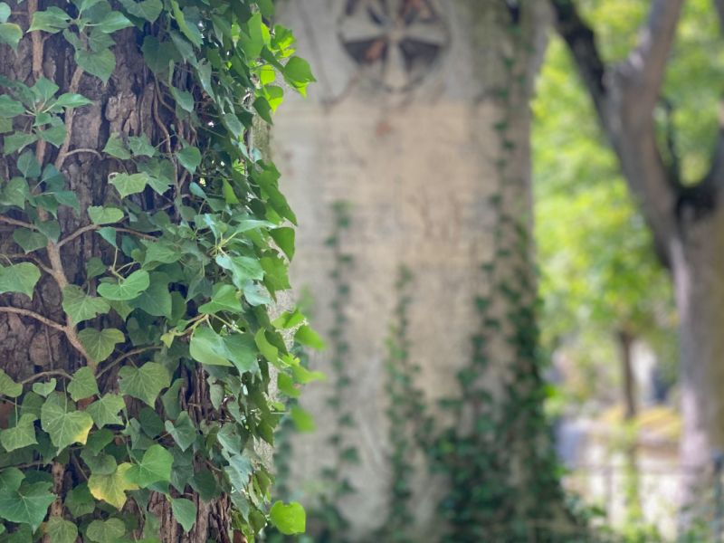 pere lachaise 2021