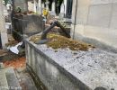 pere lachaise 2021