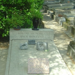 3121.jpg