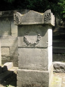 3155.jpg