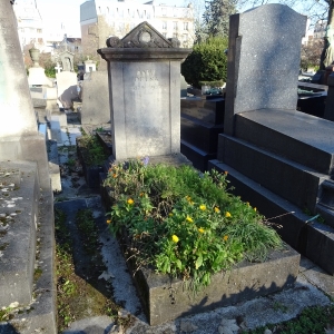 3189.jpg