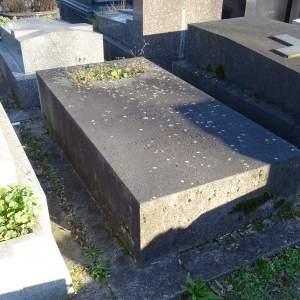 3194.jpg