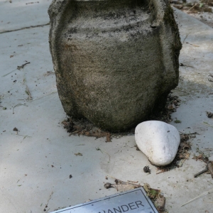 57 | THORNANDER Nils (1958-2022)